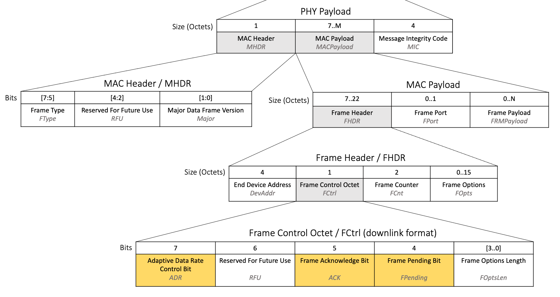 downlink-packet-bit-fields