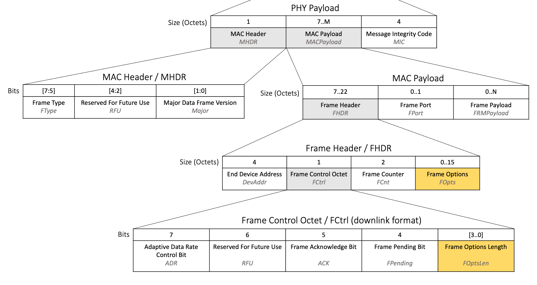 downlink-packet-foptslen-fopts