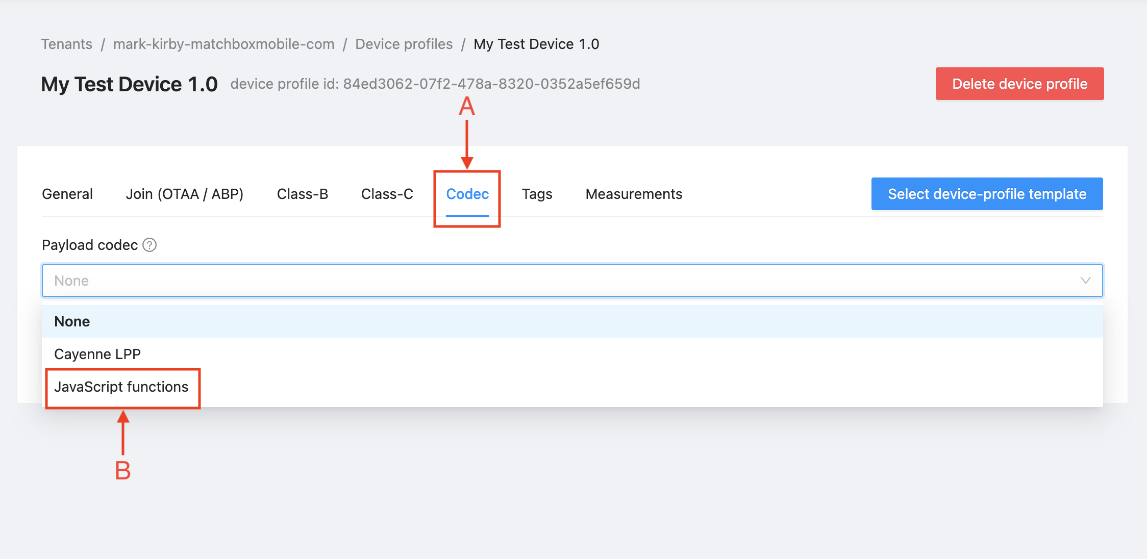 /uploads/documents/images/NS07-codec-options-javascript.png